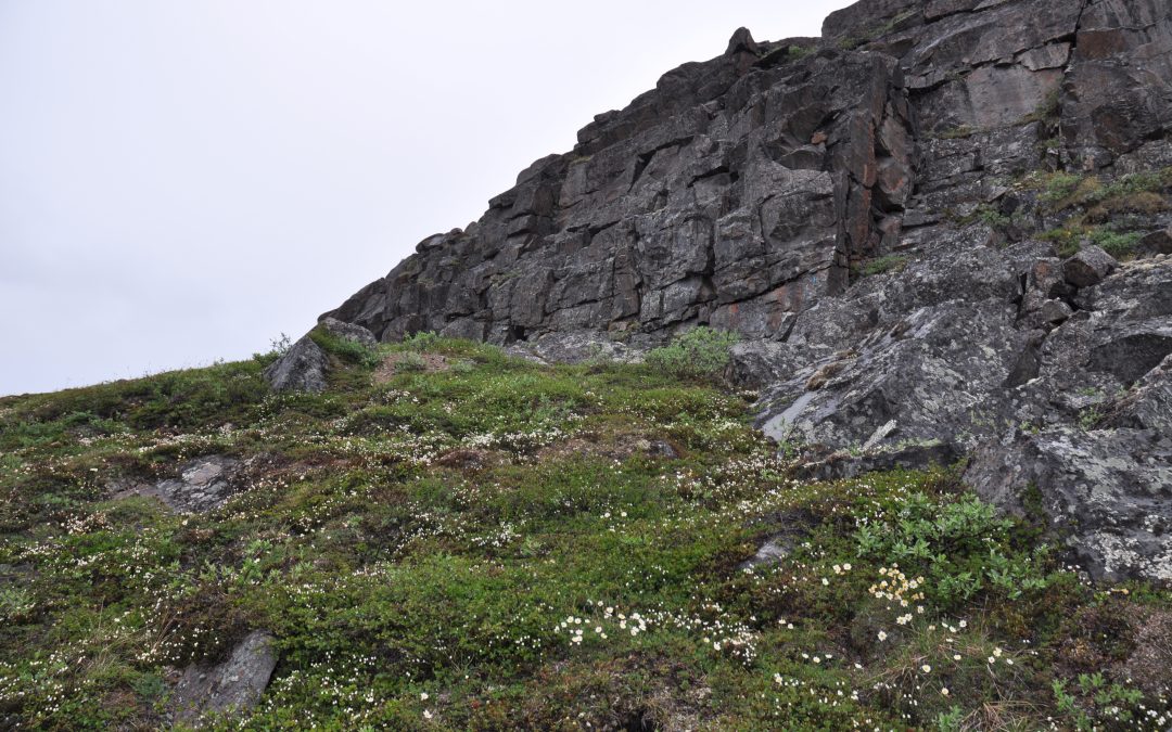Nuestra nueva etapa en Nunavut